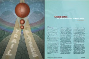 functional genomics »  Clinical and Translational Science Institute » University of Florida