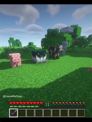 What do you think? #minecraft #story #fyp