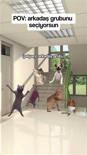 Arkadaş Grubunu Seçiyorsun #shorts