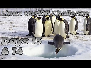 [Days 13 & 14] Users, Groups and Permissions - Linux Upskill Challenge