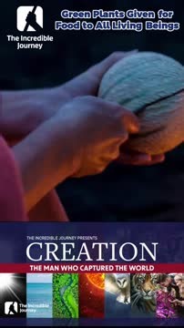 The interconnectedness of life on our planet is beautifully illustrated through the profound gift of green plants. Every creature, from the mightiest beast to the smallest bird, relies on these vital sources of nourishment. The cycle of life is sustained by the abundance of nature, reminding us of our shared responsibility to protect and cherish our environment. This insight highlights not only the importance of plants as sustenance but also the delicate balance that sustains ecosystems. Embrace