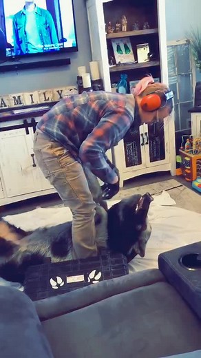 Mini Pig Tusk Trimming Guide