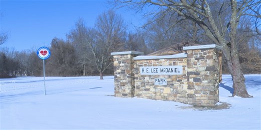 Springfield City Council plans to vote on carryover budget projects