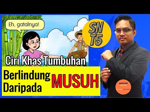 SAINS TAHUN 5 : Ciri Khas Tumbuhan
