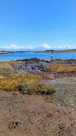 Bass or flounder? 🐟 | Blufin