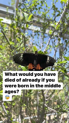 This is an interesting question | Aloha Ocean