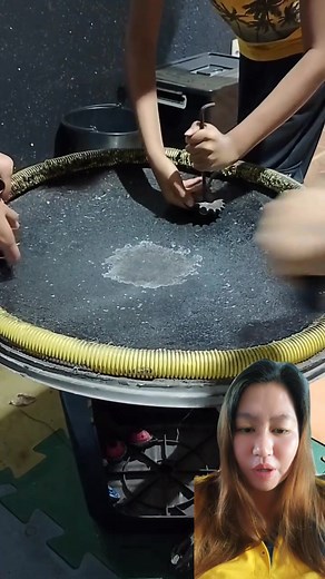 Metal beyblade 👍 #cresdy #fblifestyle #reactionvideo | Cres Dy