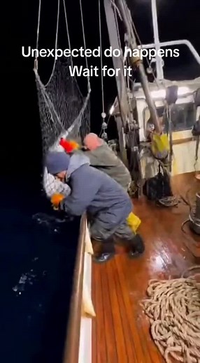 Unexpected Mermaid Encounter While Fishing