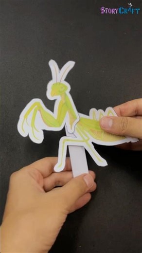 The Secret Ninja Bug #shorts #short #template #insects #bug #diy #puppetcraft #kidsactivities