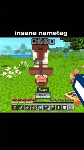 Minecraft insane nametag moment