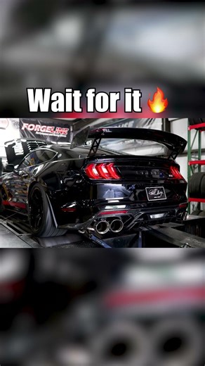 Shelby Code Red Goes CRAZY on Dyno 🔥 Insane Flames & Pops!