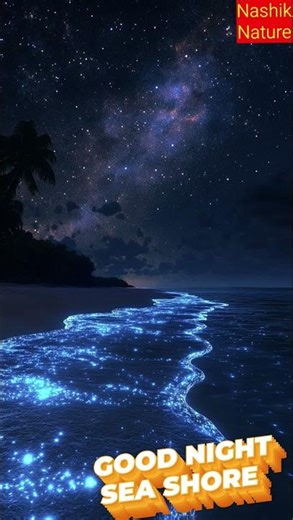 good night #goodnight #darknight #seashore #love #share #viral #trainding #night #ytshorts#nightlife