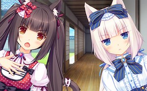 打扫时间到！！