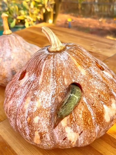 ドジョウのカボチャ蒸し料理のレシピ