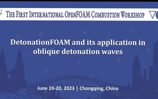 DetonationFOAM and its application in oblique detonation waves