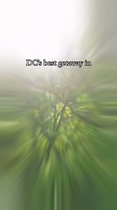 1.8K views · 64 reactions | Top 5 reasons why you will love Mirror...