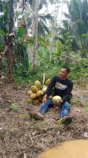 2.9K views · 13 reactions | Fighting Coconut! #fyp #strong #coconut #short #reelfyp | Herman Jensen | Facebook