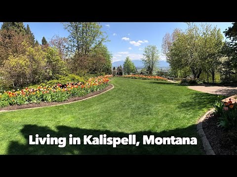 Living in Kalispell, Montana