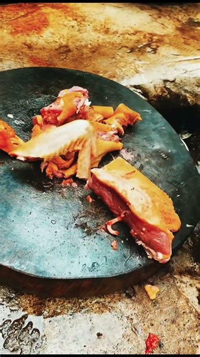 Amazing Cutting Master 💪 top quality Titanium blade #sharps#ultimate#topblade#topquality#tranding