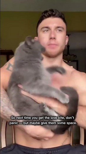 Why Does Your Cat Bite You? The Real Reason Explained!