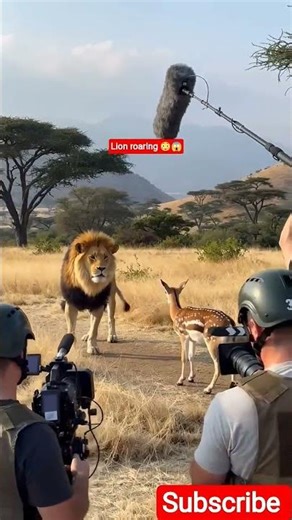 LION attacking 😱#shorts#adventure #ai #viral#satisfying#asmr#goosebumps#