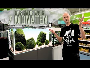 Warum unser beliebtestes Aquarium gehen muss! | Das Ende für unser Imugawi-Aquascape