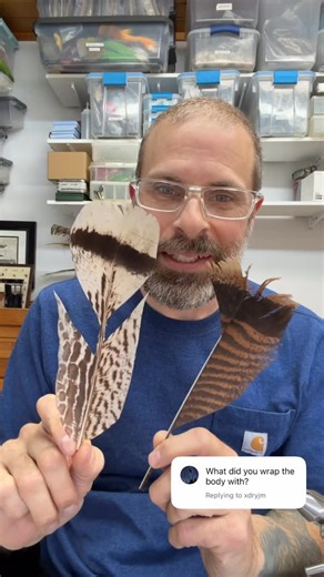 Nick Mango on Instagram: "Turkey Tail. It’s cheap, easy to acquire, and comes in tons of different styles. #flytying #flytyingjunkie #flytyingaddict"