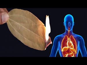 Burn A Bay Leaf In Your Room And Watch What Happens!