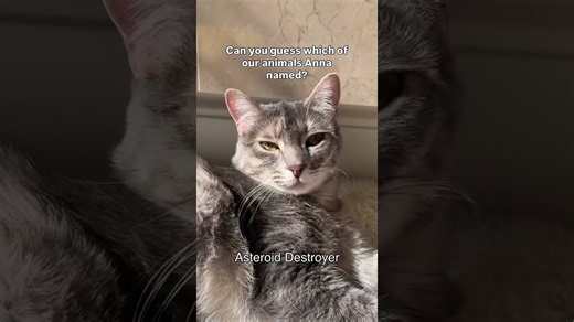 See how my girlfriend and I give pets totally different names