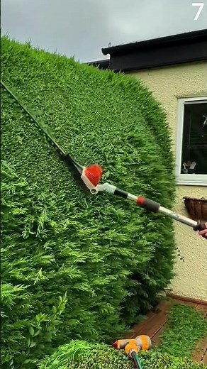 Cerdas, unik dan kreatif membentuk daun acalypha siamensis menggunakan alat khusus #shorts