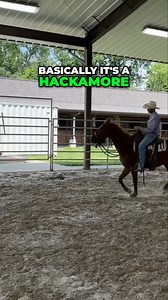1.6K views · 29 reactions | We start our horses in a rope halter to prevent leaning. Learn why we use yacht line reins and explore transitioning to a snaffle bit. This method builds a strong foundation for effective training. #HorseTraining #RopeHalter #HorseCare #Equestrian #HorsebackRiding #WesternHorseTraining #SnaffleBit #HorseTips #Equine #HorseEducation | Ed's Walking Horses | Facebook