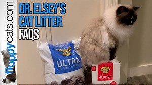 This video features Dr. Elsey's clay clumping litters and some frequently asked questions about the litter. We use two of Dr. Elsey's clay clumping litters the most: Dr. Elsey's Premium Clumping Cat Litter https://amzn.to/3hwN3LA Dr. Elsey's Cat Attract Cat Litter https://amzn.to/3rKg4bh | Floppycats
