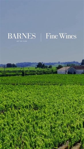 Introducing BARNES Fine Wines Where the world of exceptional wines meets the BARNES art of living. EXCELLENCE – Curated e-commerce selection & expert sourcing PRIVILEGE – Exclusive Club access & rare allocations PRESTIGE – Legendary vintages & exceptional collections ELEGANCE – Winemaker dinners & refined experiences Discover a new chapter of the BARNES universe. https://www.barnes-finewines.com/ #BarnesFineWines #Barnes #LuxuryLifestyle #FineWine #ArtDeVivre #GrandsCrus #WineLovers #Excellence 