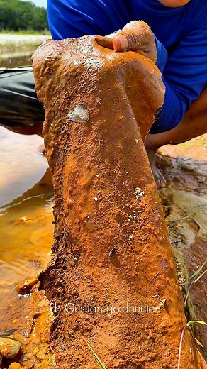 wow😱amazing, dry gold rust on the edge of a small river, containing millions of gold dust particles stuck to it #goldhunter #goldadventure #golddrush #goldhunting #goldprospecting #goldprospector #goldrust | Gustian Goldhunter