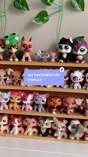 which one is your favourite? #lps #littlestpetshop #lpstiktok #lpscollection #lpscollector #lpstuber #rarelps #lpsclothes