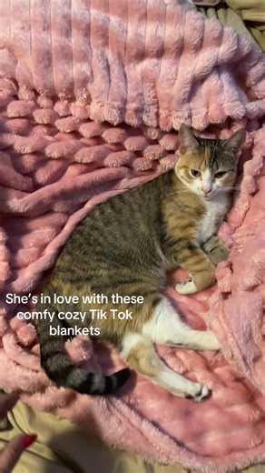 We have 4 different colored Tik Tok blankets and she loves them all❣️🥰 #tiktokshop #fyp