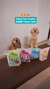344 reactions · 6 comments | The cutest taste test ever! 來 Howl Yes dog treats are now available at Pet Circle #dogtreats #tastetest #asmr #doglover #cutedogs #puppy #puppylove | Pet Circle | Facebook