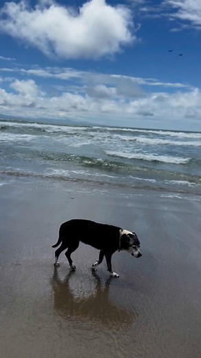 10K reactions · 732 shares | 勺 GOODBYE CHARLEY 勺 Last night we said...