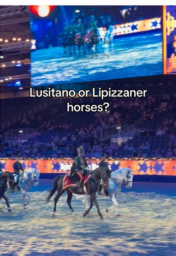 Discover Lusitano and Lipizzaner Horses at London Show