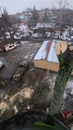 Professional Arborist Skills #ProArboristExtreme#DangerousJobs#Chainsaw#Stihl#TreeClimber