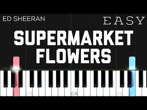 Ed Sheeran - Supermarket Flowers | EASY Piano Tutorial