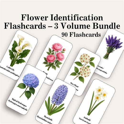 Flower Identification Flashcards: 90 Flower Montessori Cards, Nature Study, Environmental Science, Homeschool Printables