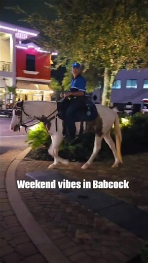 Friday Night View of Horses In Babcock Ranch, Florida (SWFL)