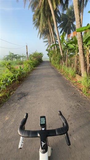 Dấu hiệu không khí tết sắp đến 🥰