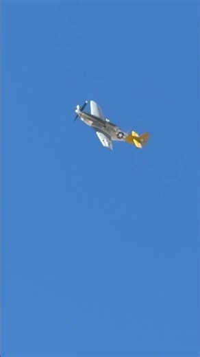 P-51D ‘Spam Can’ Flyby and Gunport Whistle