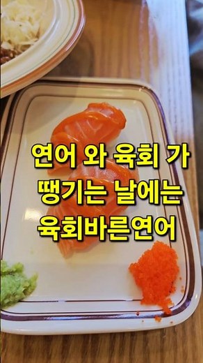 육회 연어 맛집 육회바른연어!!