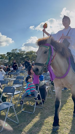110K views · 1.4K reactions | sa mga expert sa kabayo totoo Bang iba ang lakad ng kabayo ng japan? Yes, traditional Japanese equestrianism features a unique walking style where the fore and hind legs on the same side move forward together (a pace or lateral gait), rather than the typical diagonal sequence of most horses. This modification was intentional. daw sabe ni Ai | SweetLife Tv | Facebook