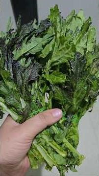 Fresh From Garden: Japanese Red Giant Mustard Saag