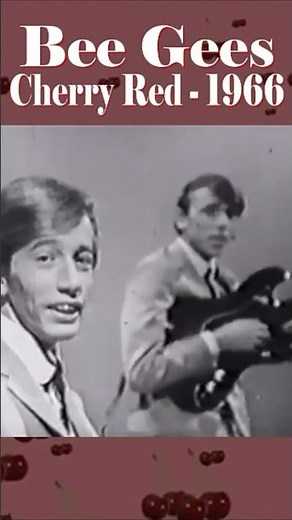 Young Bee Gees Song “Cherry Red” 1966