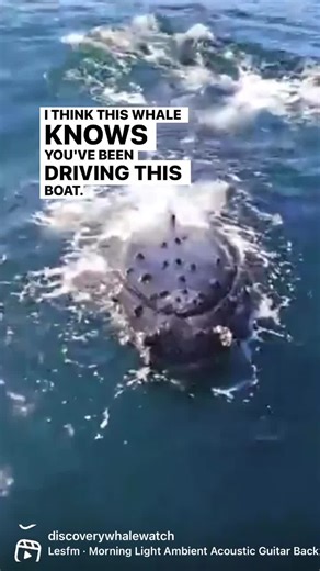 79K views · 5.4K reactions | Exciting encounter today! Apparently...